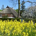 Apartament Ferienwohungen Im Feriengarten Dg *