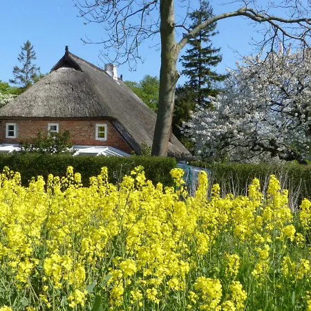 Apartament Ferienwohungen Im Feriengarten Dg *