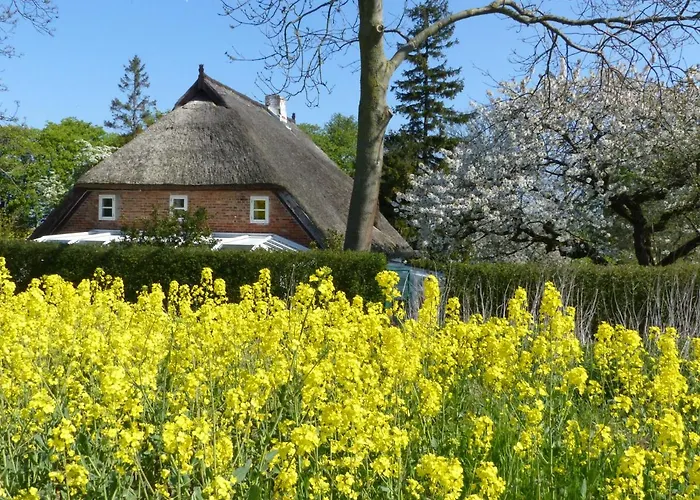 Appartamento Ferienwohungen Im Feriengarten Dg *